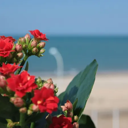 Playa Balestrate