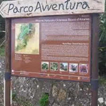 Apartmán Playa